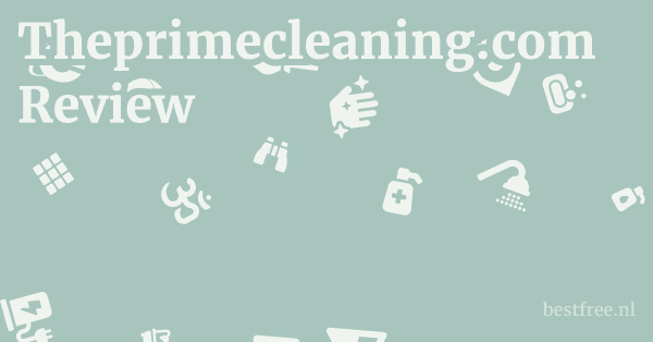 Theprimecleaning.com Review 1 by BestFREE.nl