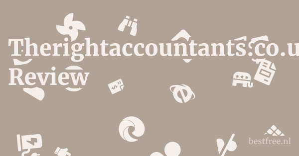 Therightaccountants.co.uk Review 1 by BestFREE.nl