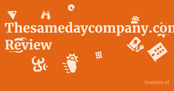 Thesamedaycompany.com Review 1 by BestFREE.nl