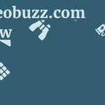 Theseobuzz.com Review 13 by BestFREE.nl