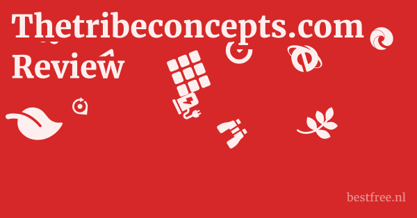 Thetribeconcepts.com Review 1 by BestFREE.nl