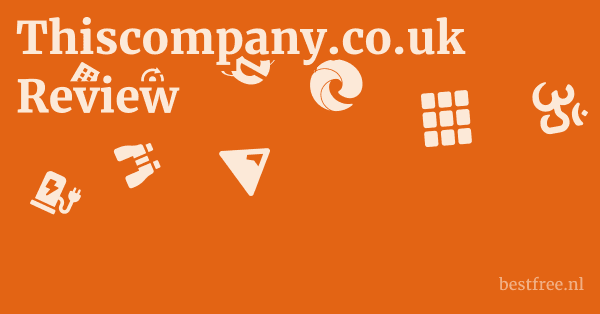 Thiscompany.co.uk Review 1 by BestFREE.nl