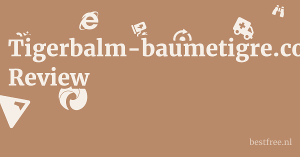 Tigerbalm-baumetigre.com Review 1 by BestFREE.nl