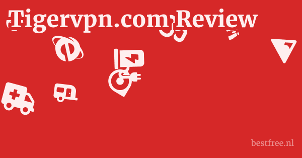 Tigervpn.com Review 1 by BestFREE.nl