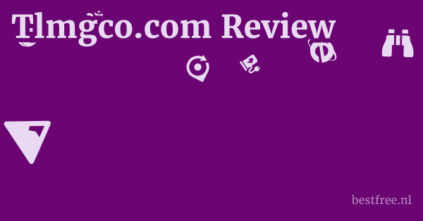 Tlmgco.com Review 1 by BestFREE.nl