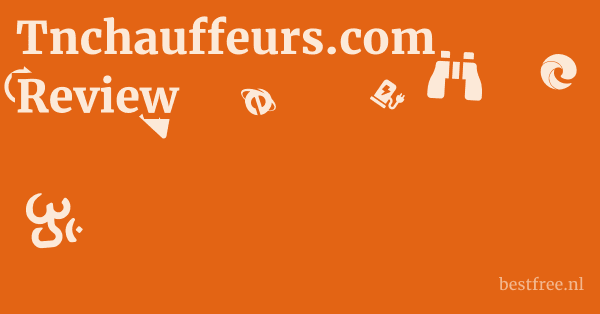 Tnchauffeurs.com Review 1 by BestFREE.nl