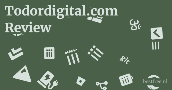 Todordigital.com Review 1 by BestFREE.nl