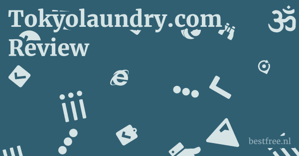 Tokyolaundry.com Review 1 by BestFREE.nl