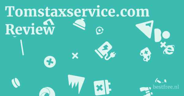 Tomstaxservice.com Review 1 by BestFREE.nl