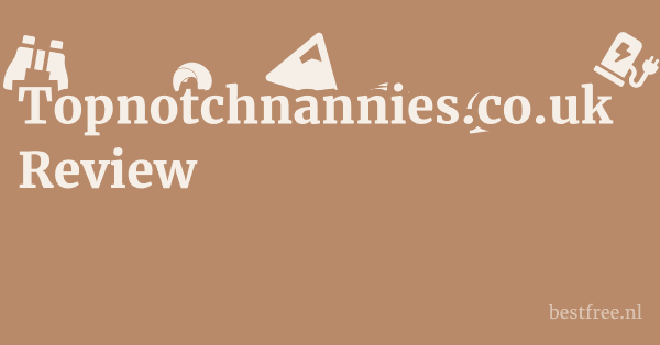 Topnotchnannies.co.uk Review 1 by BestFREE.nl