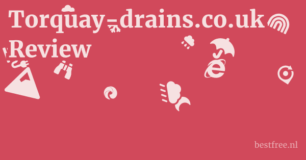 Torquay-drains.co.uk Review 1 by BestFREE.nl