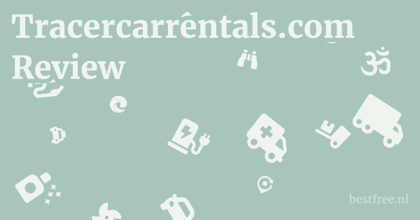 Tracercarrentals.com Review 1 by BestFREE.nl