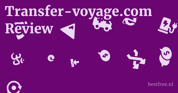 Transfer-voyage.com Review 1 by BestFREE.nl