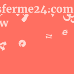 Transferme24.com Review 11 by BestFREE.nl