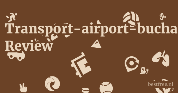 Transport-airport-bucharest.com Review 1 by BestFREE.nl