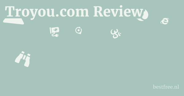 Troyou.com Review 1 by BestFREE.nl