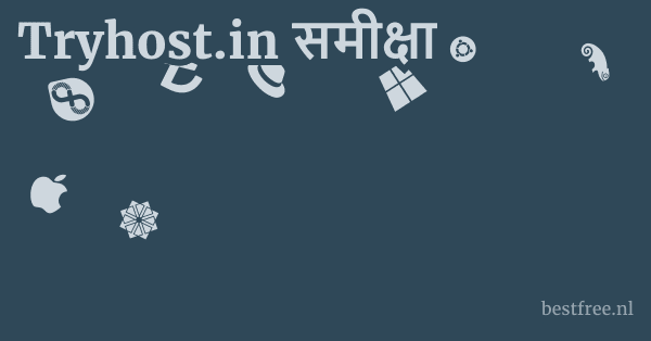 Tryhost.in समीक्षा 1 by BestFREE.nl