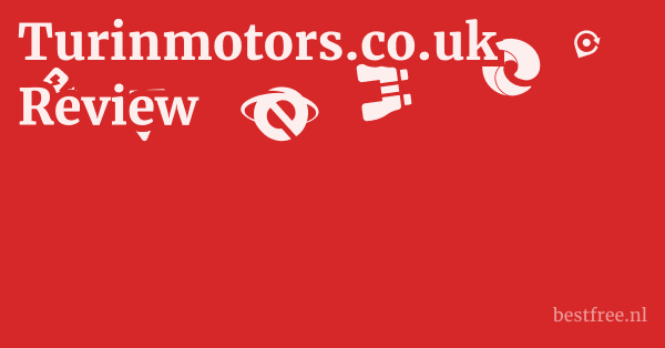 Turinmotors.co.uk Review 1 by BestFREE.nl