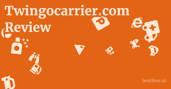 Twingocarrier.com Review 1 by BestFREE.nl