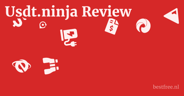 Usdt.ninja Review 1 by BestFREE.nl