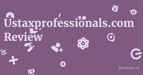 Ustaxprofessionals.com Review 1 by BestFREE.nl