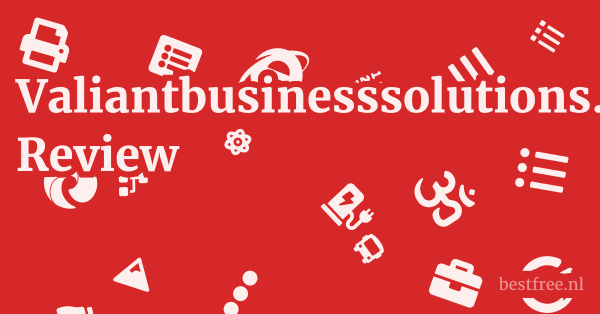Valiantbusinesssolutions.com Review 1 by BestFREE.nl