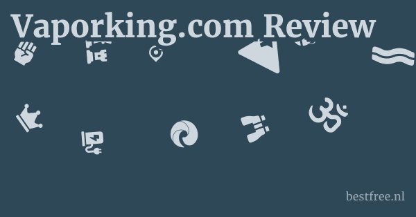 Vaporking.com Review 1 by BestFREE.nl