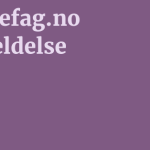 Varmefag.no Anmeldelse 11 by BestFREE.nl