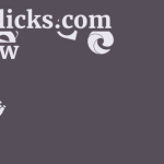 Vastclicks.com Review 7 by BestFREE.nl