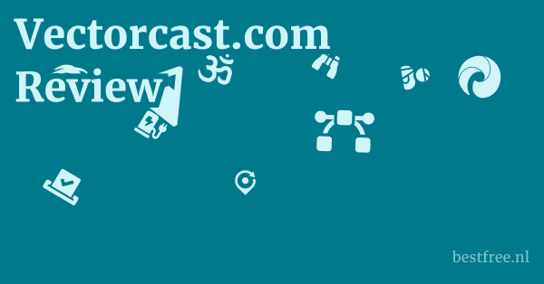 Vectorcast.com Review 1 by BestFREE.nl