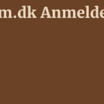 Vibefm.dk Anmeldelse 7 by BestFREE.nl