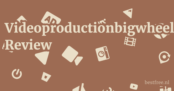 Videoproductionbigwheeldigitalmedia.com Review 1 by BestFREE.nl