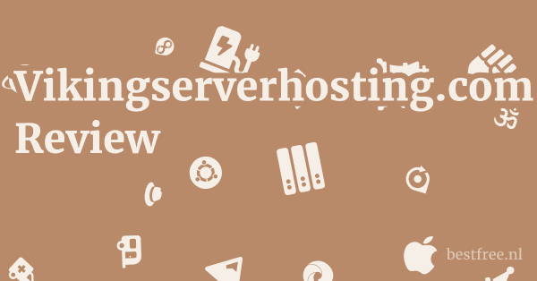 Vikingserverhosting.com Review 1 by BestFREE.nl