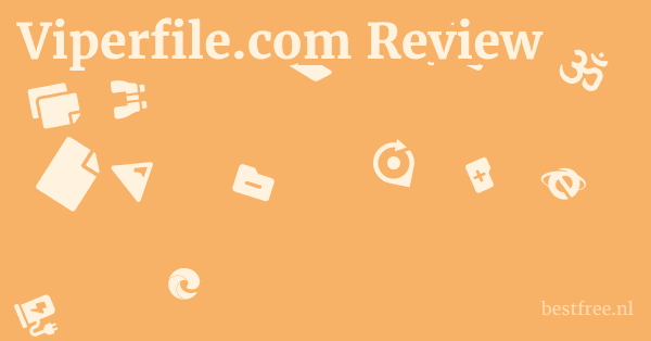 Viperfile.com Review 1 by BestFREE.nl