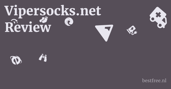 Vipersocks.net Review 1 by BestFREE.nl