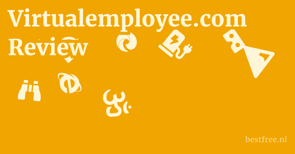 Virtualemployee.com Review 1 by BestFREE.nl