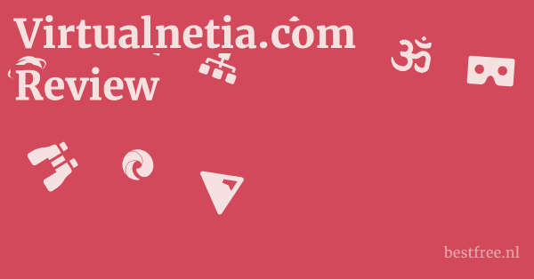 Virtualnetia.com Review 1 by BestFREE.nl