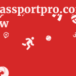 Visapassportpro.com Review 21 by BestFREE.nl