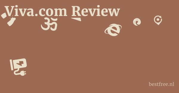 viva.com Review & First Look: A Deep Dive into Digital Payments 1 by BestFREE.nl
