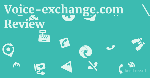 Voice-exchange.com Review 1 by BestFREE.nl