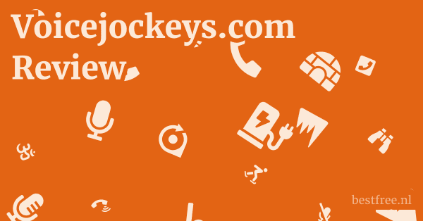 Voicejockeys.com Review 1 by BestFREE.nl