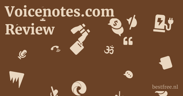 Voicenotes.com Review 1 by BestFREE.nl