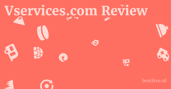 Vservices.com Review 1 by BestFREE.nl