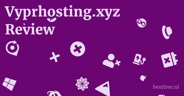 Vyprhosting.xyz Review 1 by BestFREE.nl