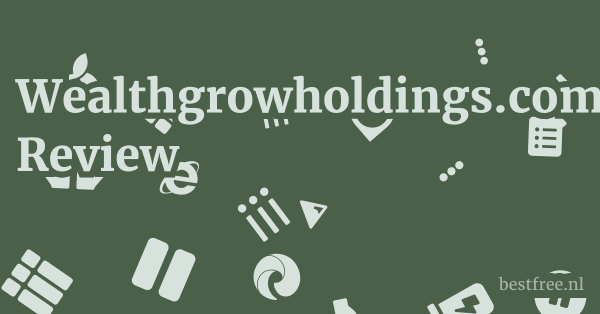 Wealthgrowholdings.com Review 1 by BestFREE.nl