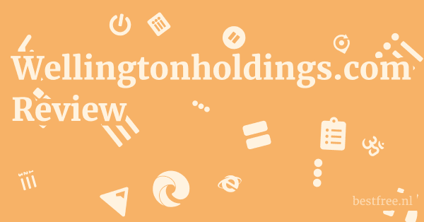 Wellingtonholdings.com Review 1 by BestFREE.nl