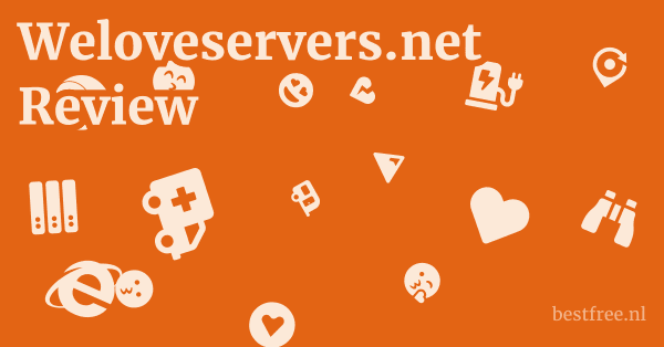 Weloveservers.net Review 1 by BestFREE.nl