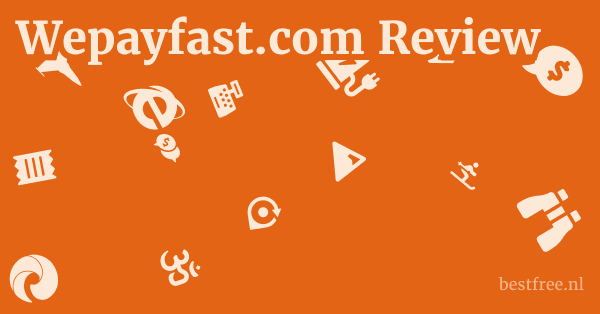 Wepayfast.com Review 1 by BestFREE.nl