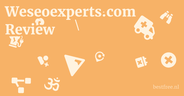 Weseoexperts.com Review 1 by BestFREE.nl