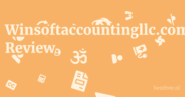 Winsoftaccountingllc.com Review 1 by BestFREE.nl